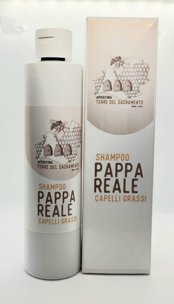 Shampoo